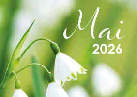 Sozialer Dienst - Begegnungszentrum Programm Mai 2026